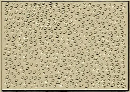 An illustration from The technic of mechanical drafting a practical guide to neat, correct, and legible drawing, 1904, leaf 50