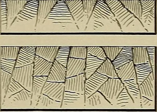 An illustration from The technic of mechanical drafting a practical guide to neat, correct, and legible drawing, 1904, leaf 50