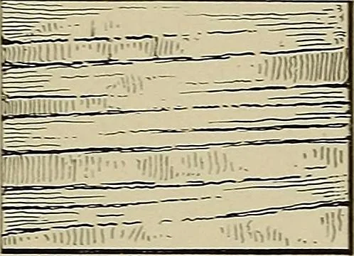 An illustration from The technic of mechanical drafting a practical guide to neat, correct, and legible drawing, 1904, leaf 50