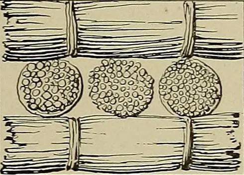 An illustration from The technic of mechanical drafting a practical guide to neat, correct, and legible drawing, 1904, leaf 52
