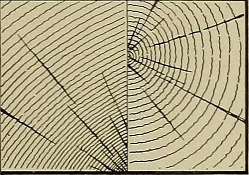 An illustration from The technic of mechanical drafting a practical guide to neat, correct, and legible drawing, 1904, leaf 52