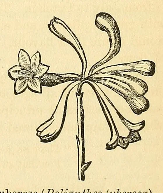 An illustration from The Technologist, 1861, leaf 417