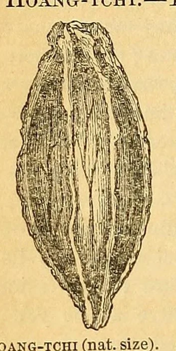 An illustration from The Technologist, 1861, leaf 20