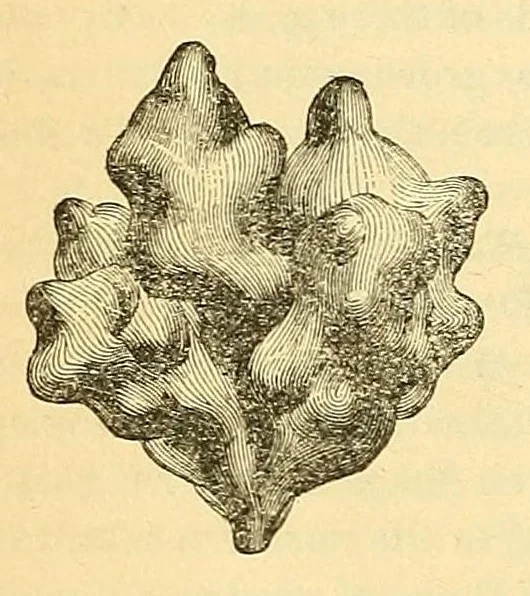 An illustration from The Technologist, 1861, leaf 202