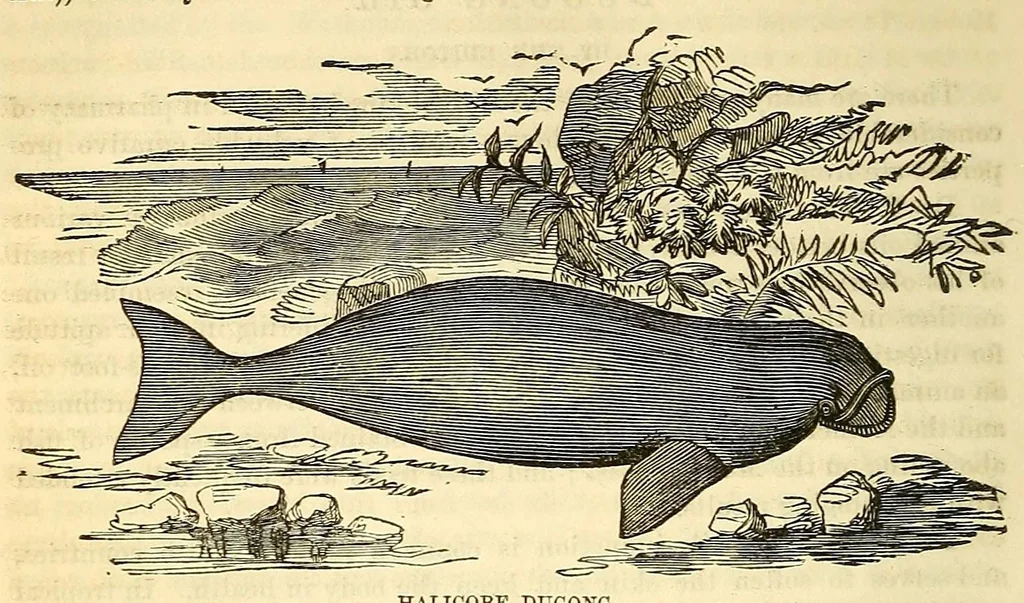 An illustration from The Technologist, 1861, leaf 328