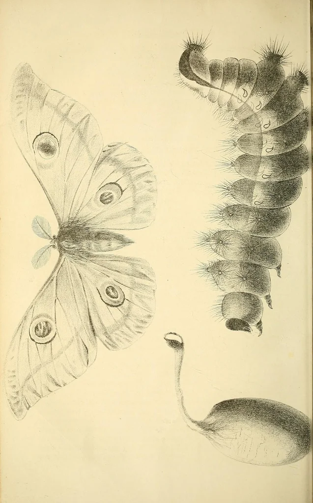 An illustration from The Technologist, 1861, leaf 370