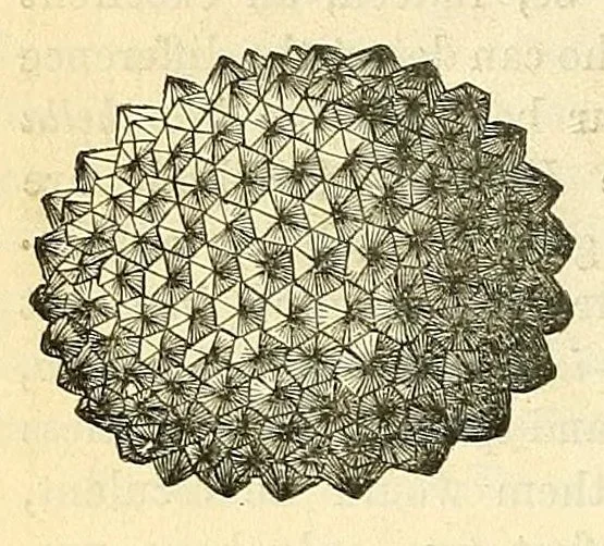 An illustration from The Technologist, 1861, leaf 158