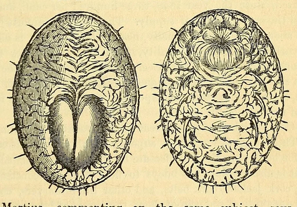 An illustration from The Technologist, 1861, leaf 69