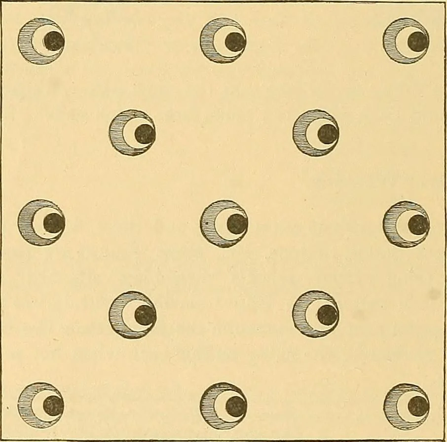 An illustration from Technology of textile design. Being a practical treatise on the construction and application of weaves for all textile fabrics, with minute reference to the latest inventions for weaving, 1888, leaf 117