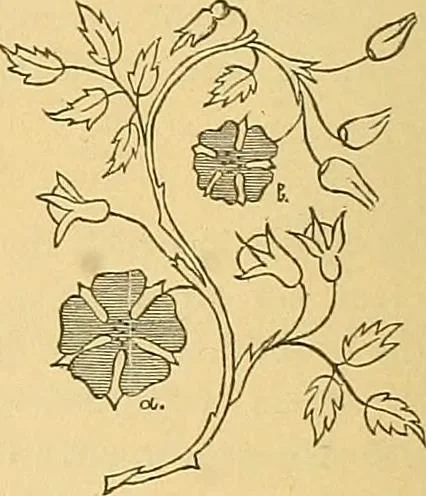 An illustration from Technology of textile design. Being a practical treatise on the construction and application of weaves for all textile fabrics, with minute reference to the latest inventions for weaving, 1888, leaf 117