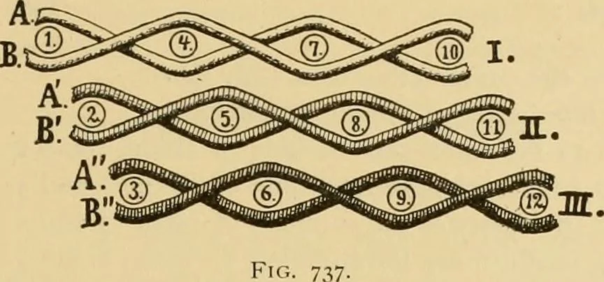 An illustration from Technology of textile design. Being a practical treatise on the construction and application of weaves for all textile fabrics, with minute reference to the latest inventions for weaving, 1888, leaf 154