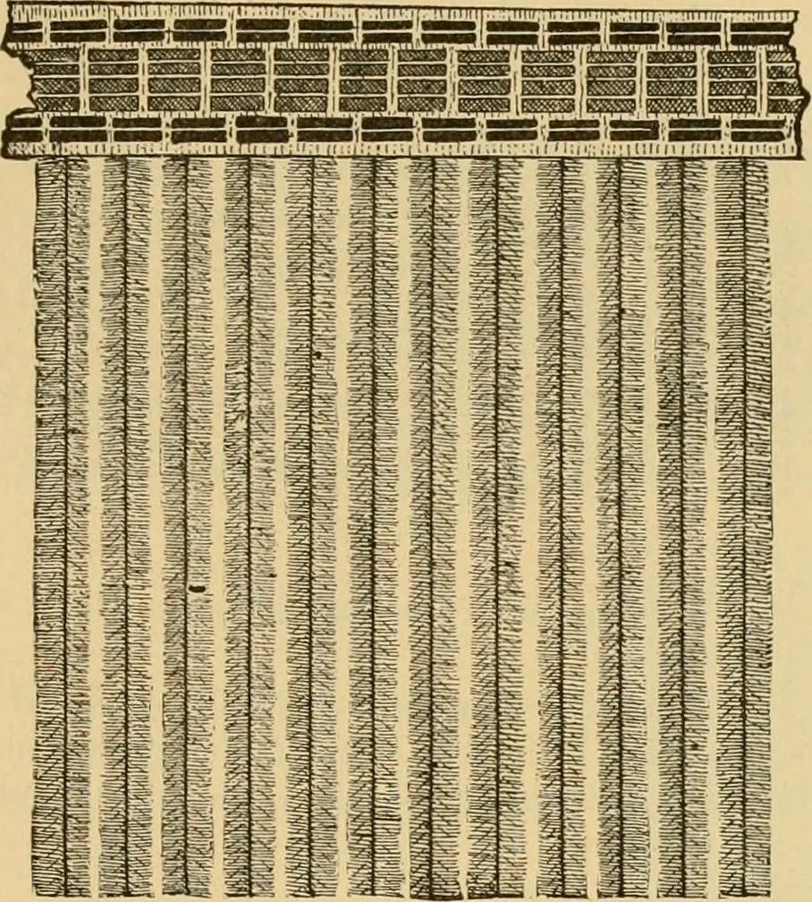 An illustration from Technology of textile design. Being a practical treatise on the construction and application of weaves for all textile fabrics, with minute reference to the latest inventions for weaving, 1888, leaf 170