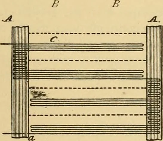 An illustration from Technology of textile design. Being a practical treatise on the construction and application of weaves for all textile fabrics, with minute reference to the latest inventions for weaving, 1888, leaf 172