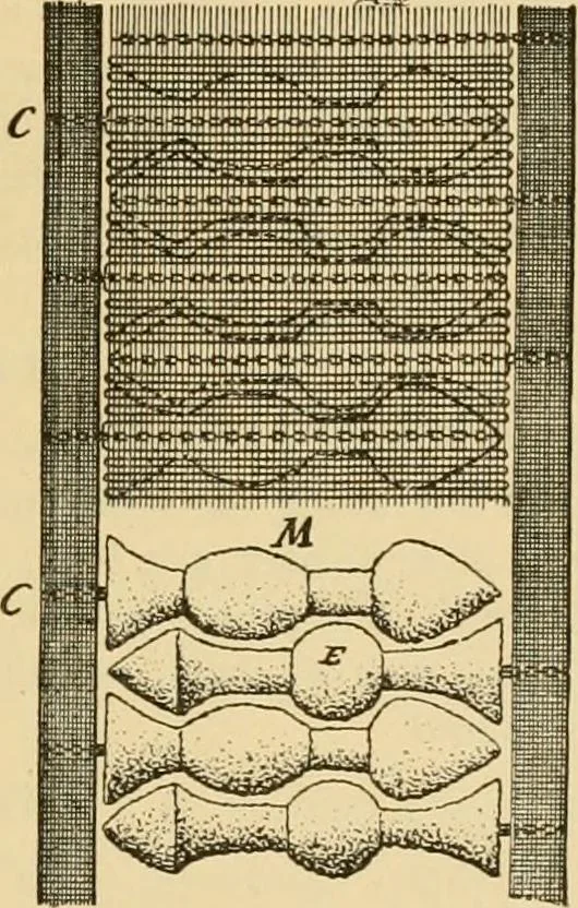 An illustration from Technology of textile design. Being a practical treatise on the construction and application of weaves for all textile fabrics, with minute reference to the latest inventions for weaving, 1888, leaf 172