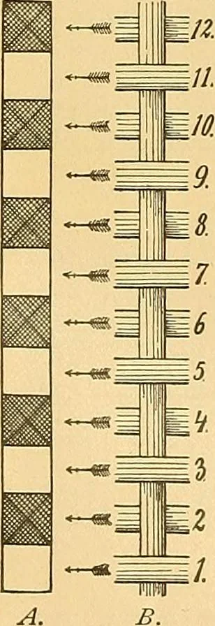 An illustration from Technology of textile design. Being a practical treatise on the construction and application of weaves for all textile fabrics, with minute reference to the latest inventions for weaving, 1888, leaf 19