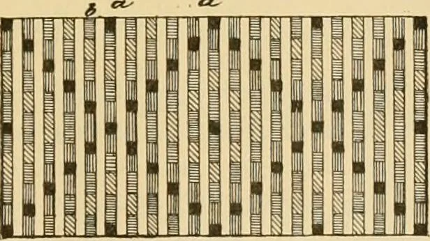 An illustration from Technology of textile design. Being a practical treatise on the construction and application of weaves for all textile fabrics, with minute reference to the latest inventions for weaving, 1888, leaf 194