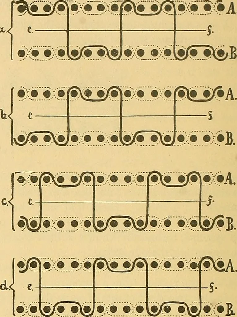 An illustration from Technology of textile design. Being a practical treatise on the construction and application of weaves for all textile fabrics, with minute reference to the latest inventions for weaving, 1888, leaf 203