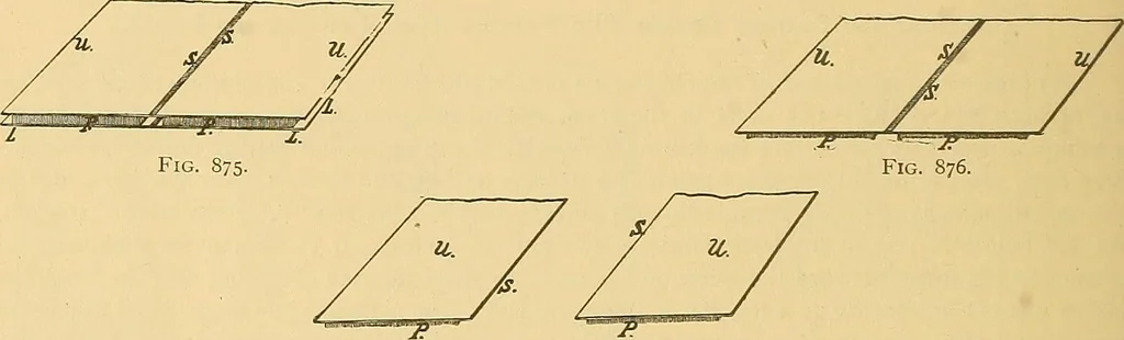 An illustration from Technology of textile design. Being a practical treatise on the construction and application of weaves for all textile fabrics, with minute reference to the latest inventions for weaving, 1888, leaf 213
