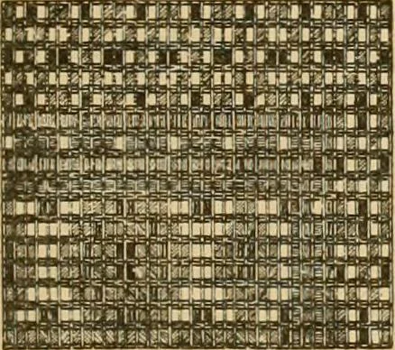 An illustration from Technology of textile design. Being a practical treatise on the construction and application of weaves for all textile fabrics, with minute reference to the latest inventions for weaving, 1888, leaf 230