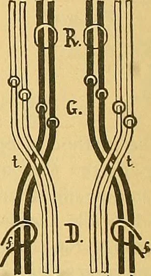 An illustration from Technology of textile design. Being a practical treatise on the construction and application of weaves for all textile fabrics, with minute reference to the latest inventions for weaving, 1888, leaf 247