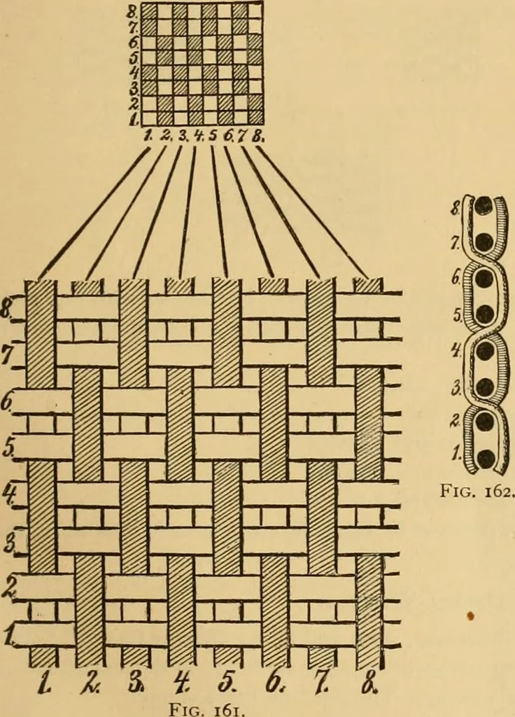 An illustration from Technology of textile design. Being a practical treatise on the construction and application of weaves for all textile fabrics, with minute reference to the latest inventions for weaving, 1888, leaf 48