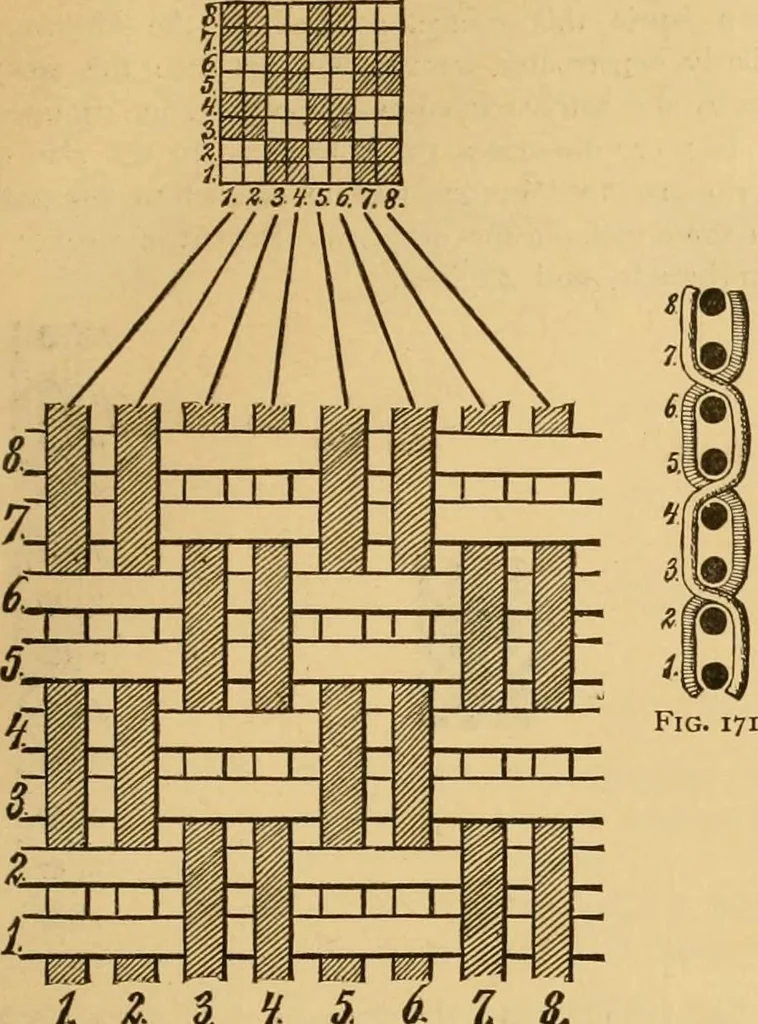 An illustration from Technology of textile design. Being a practical treatise on the construction and application of weaves for all textile fabrics, with minute reference to the latest inventions for weaving, 1888, leaf 50