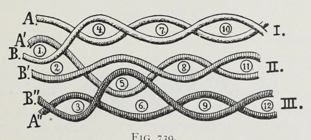 An illustration from Technology of textile design : a practical treatise on the construction and application of weaves for all textile fabrics and the analysis of cloth : containing also an appendix describing all the latest methods and improvements in designing and manufacturing : for the use of students, operatives, overseers, designers, mill managers, commission merchants and manufacturers, 1905, leaf 157