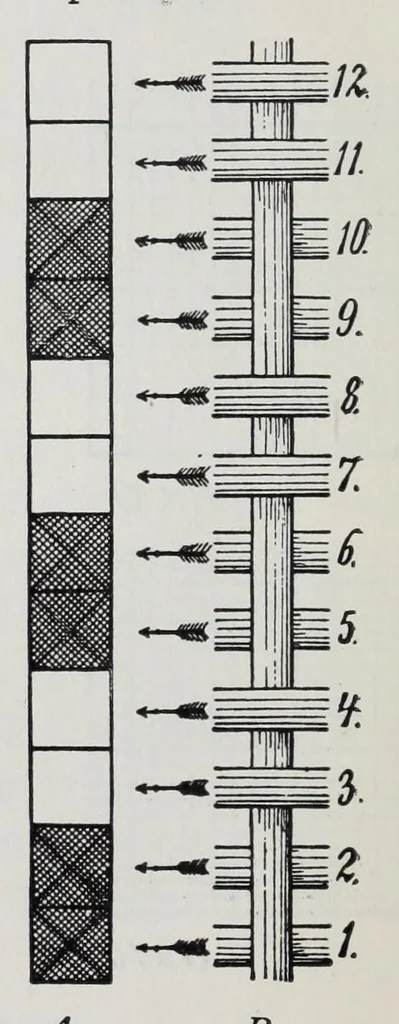 An illustration from Technology of textile design : a practical treatise on the construction and application of weaves for all textile fabrics and the analysis of cloth : containing also an appendix describing all the latest methods and improvements in designing and manufacturing : for the use of students, operatives, overseers, designers, mill managers, commission merchants and manufacturers, 1905, leaf 22