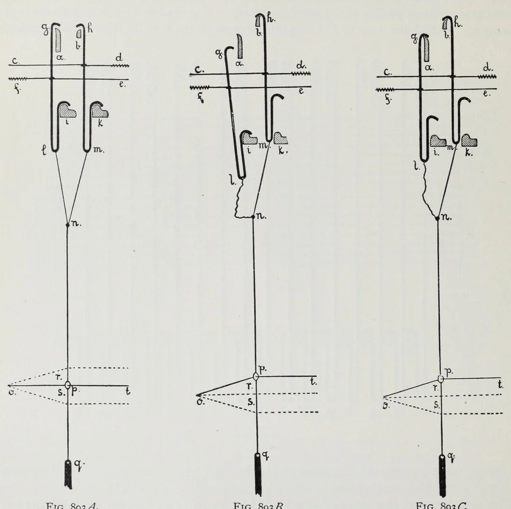 An illustration from Technology of textile design : a practical treatise on the construction and application of weaves for all textile fabrics and the analysis of cloth : containing also an appendix describing all the latest methods and improvements in designing and manufacturing : for the use of students, operatives, overseers, designers, mill managers, commission merchants and manufacturers, 1905, leaf 224