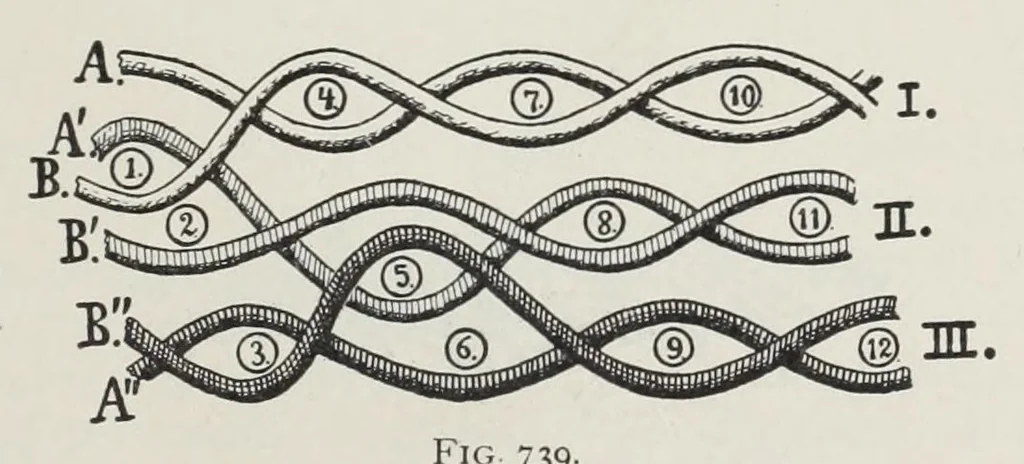 An illustration from Technology of textile design : being a practical treatise on the construction and application of weaves for all textile fabrics, with minute reference to the latest inventions for weaving : containing also an appendix showing the analysis and giving the calculations necessary for the manufacture of the various textile fabrics, 1892, leaf 155