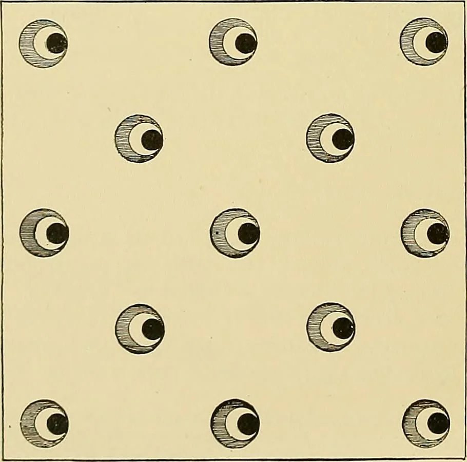 An illustration from Technology of textile design. Being a practical treatise on the construction and application of weaves for all textile fabrics, with minute reference to the latest inventions for weaving, 1888, leaf 119