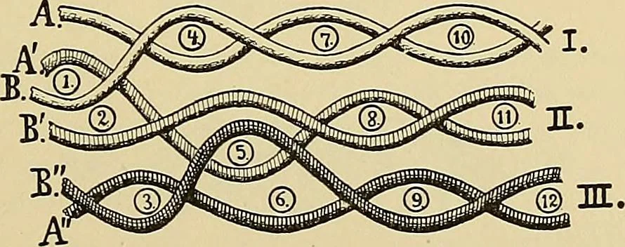 An illustration from Technology of textile design. Being a practical treatise on the construction and application of weaves for all textile fabrics, with minute reference to the latest inventions for weaving, 1888, leaf 156