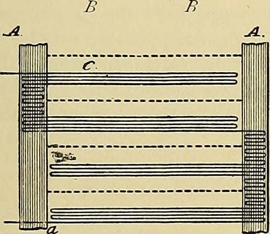 An illustration from Technology of textile design. Being a practical treatise on the construction and application of weaves for all textile fabrics, with minute reference to the latest inventions for weaving, 1888, leaf 174
