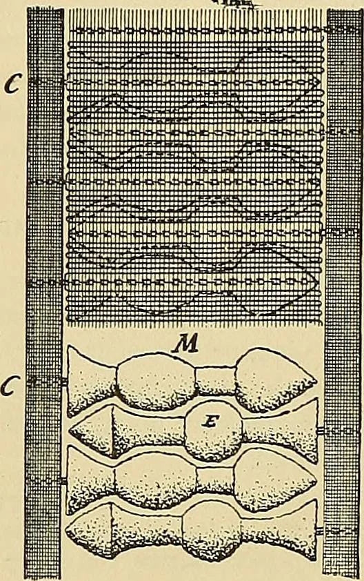 An illustration from Technology of textile design. Being a practical treatise on the construction and application of weaves for all textile fabrics, with minute reference to the latest inventions for weaving, 1888, leaf 174