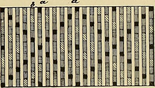 An illustration from Technology of textile design. Being a practical treatise on the construction and application of weaves for all textile fabrics, with minute reference to the latest inventions for weaving, 1888, leaf 196
