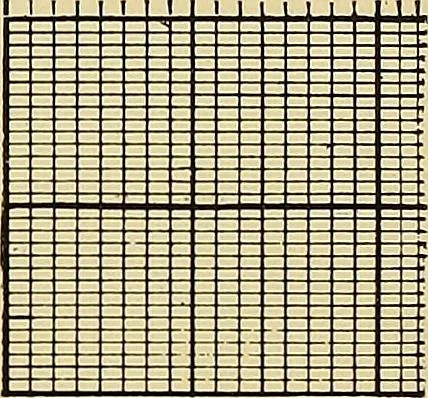 An illustration from Technology of textile design. Being a practical treatise on the construction and application of weaves for all textile fabrics, with minute reference to the latest inventions for weaving, 1888, leaf 20