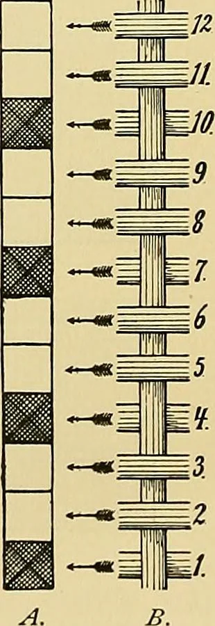 An illustration from Technology of textile design. Being a practical treatise on the construction and application of weaves for all textile fabrics, with minute reference to the latest inventions for weaving, 1888, leaf 21
