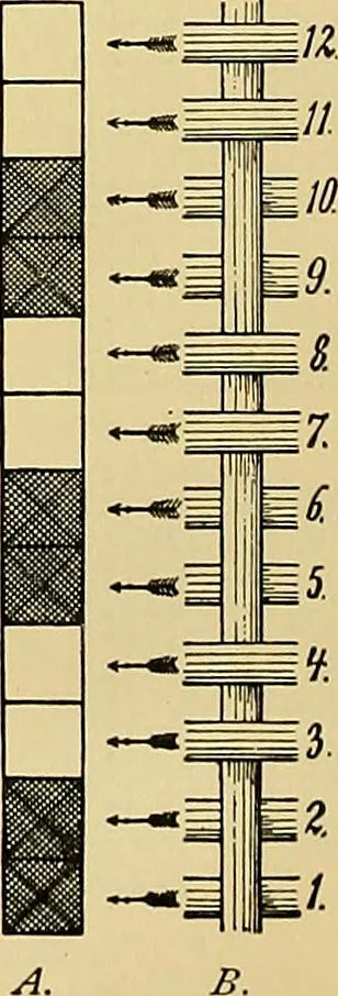 An illustration from Technology of textile design. Being a practical treatise on the construction and application of weaves for all textile fabrics, with minute reference to the latest inventions for weaving, 1888, leaf 21