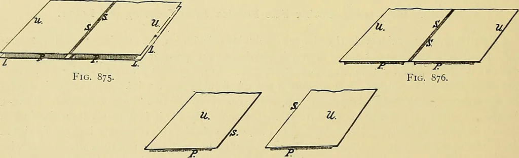 An illustration from Technology of textile design. Being a practical treatise on the construction and application of weaves for all textile fabrics, with minute reference to the latest inventions for weaving, 1888, leaf 215