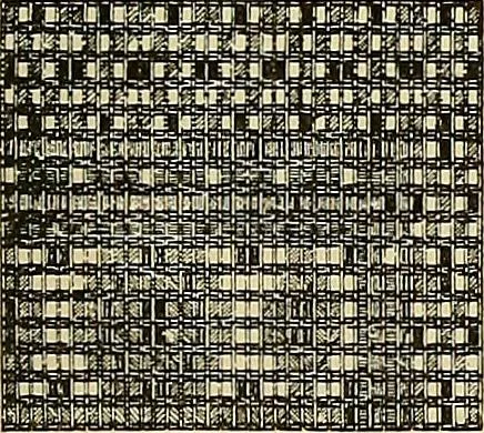 An illustration from Technology of textile design. Being a practical treatise on the construction and application of weaves for all textile fabrics, with minute reference to the latest inventions for weaving, 1888, leaf 232
