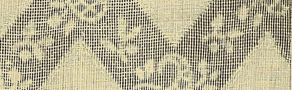 An illustration from Technology of textile design. Being a practical treatise on the construction and application of weaves for all textile fabrics, with minute reference to the latest inventions for weaving, 1888, leaf 250