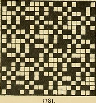 An illustration from Technology of textile design. Being a practical treatise on the construction and application of weaves for all textile fabrics, with minute reference to the latest inventions for weaving, 1888, leaf 285