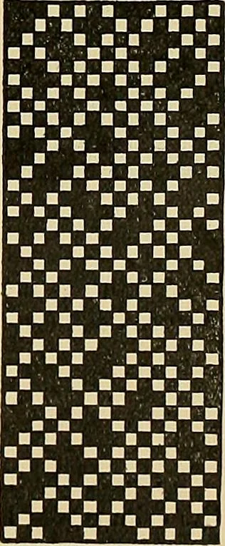 An illustration from Technology of textile design. Being a practical treatise on the construction and application of weaves for all textile fabrics, with minute reference to the latest inventions for weaving, 1888, leaf 296
