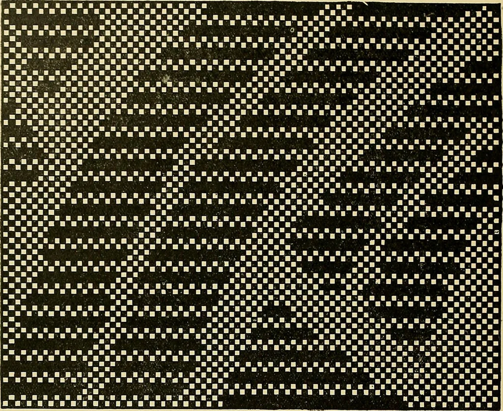 An illustration from Technology of textile design. Being a practical treatise on the construction and application of weaves for all textile fabrics, with minute reference to the latest inventions for weaving, 1888, leaf 299