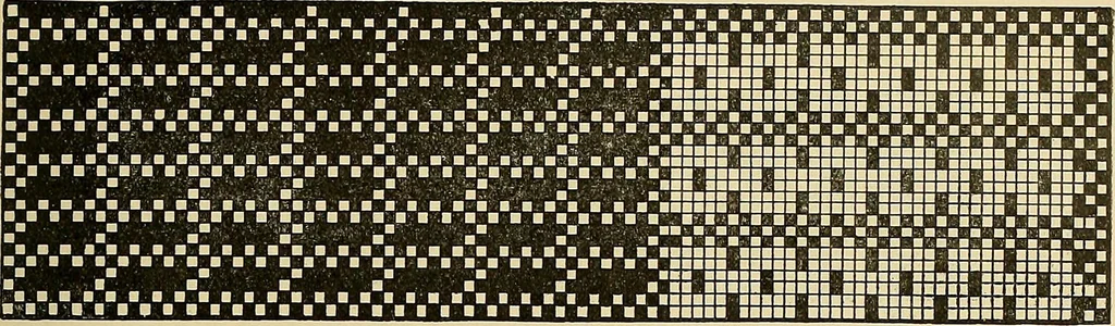 An illustration from Technology of textile design. Being a practical treatise on the construction and application of weaves for all textile fabrics, with minute reference to the latest inventions for weaving, 1888, leaf 300