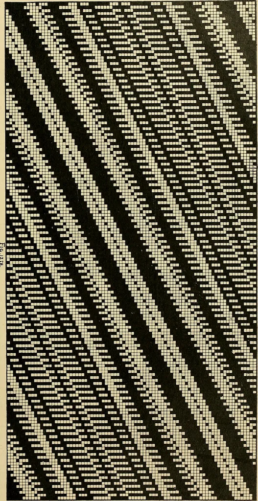 An illustration from Technology of textile design. Being a practical treatise on the construction and application of weaves for all textile fabrics, with minute reference to the latest inventions for weaving, 1888, leaf 304