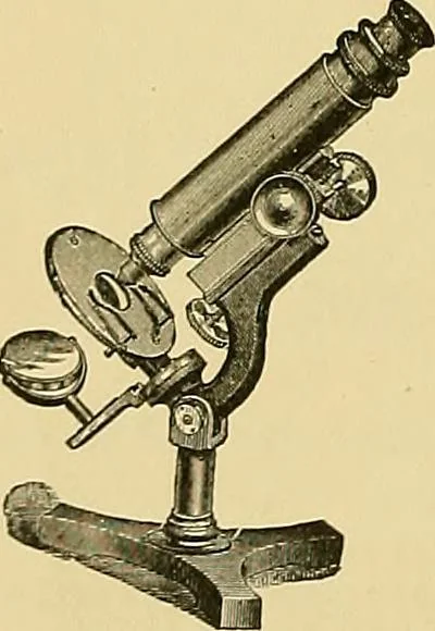 An illustration from Technology of textile design. Being a practical treatise on the construction and application of weaves for all textile fabrics, with minute reference to the latest inventions for weaving, 1888, leaf 335