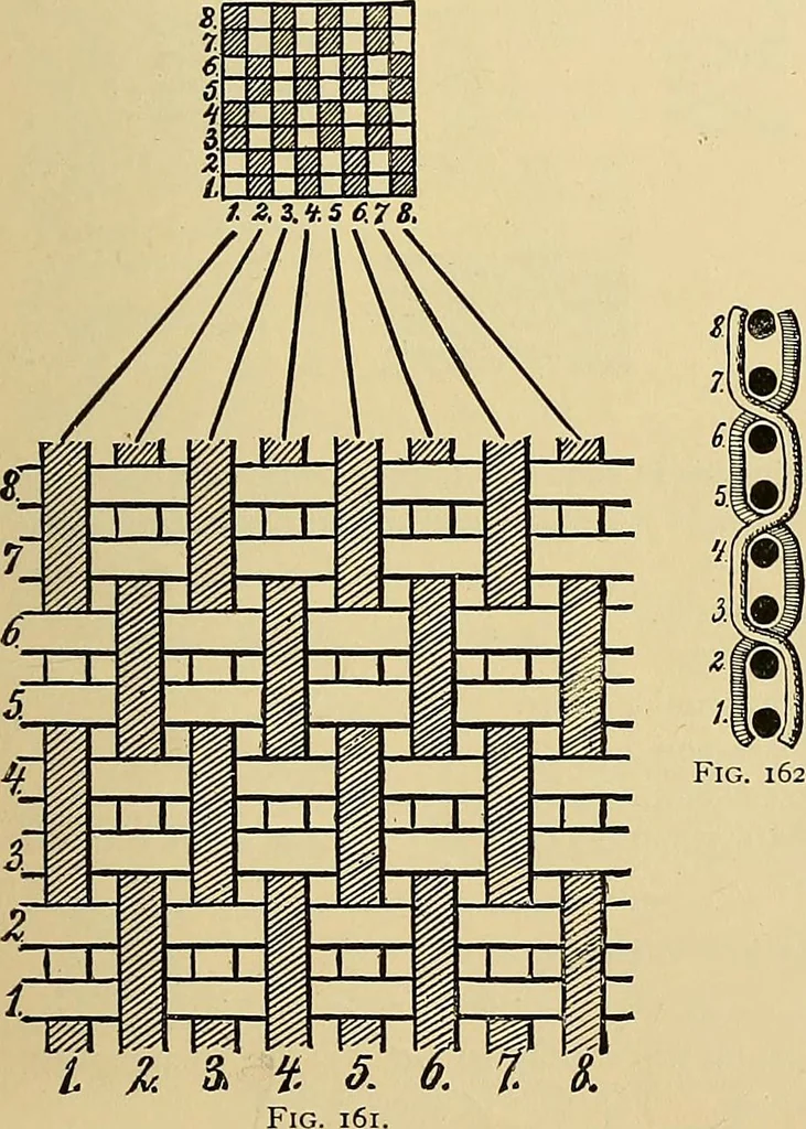 An illustration from Technology of textile design. Being a practical treatise on the construction and application of weaves for all textile fabrics, with minute reference to the latest inventions for weaving, 1888, leaf 50
