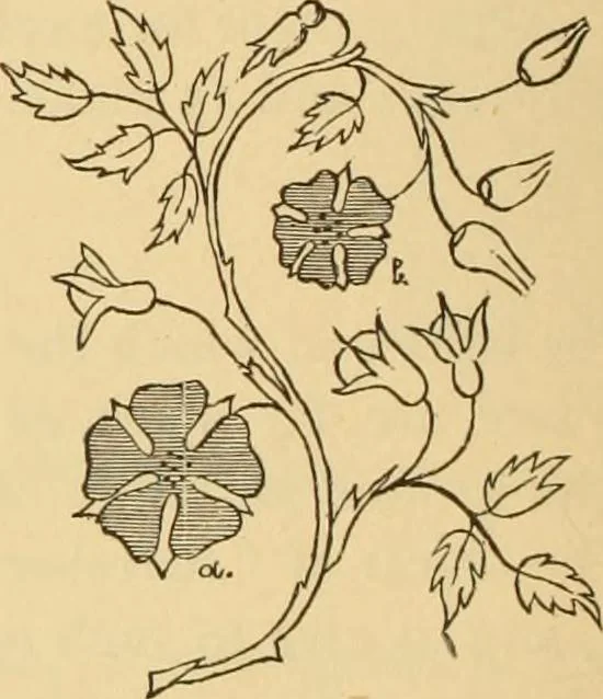 An illustration from Technology of textile design. Being a practical treatise on the construction and application of weaves for all textile fabrics, with minute reference to the latest inventions for weaving. Containing also an appendix showing the analysis and giving the calculations necessary for the manufacture of the various textile fabrics, 1889, leaf 115