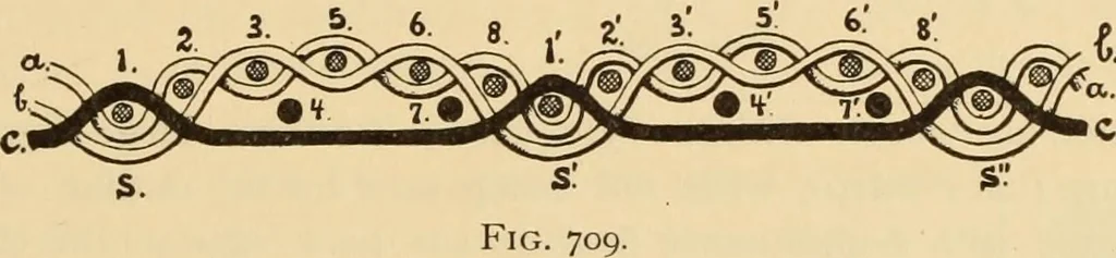 An illustration from Technology of textile design. Being a practical treatise on the construction and application of weaves for all textile fabrics, with minute reference to the latest inventions for weaving. Containing also an appendix showing the analysis and giving the calculations necessary for the manufacture of the various textile fabrics, 1889, leaf 146